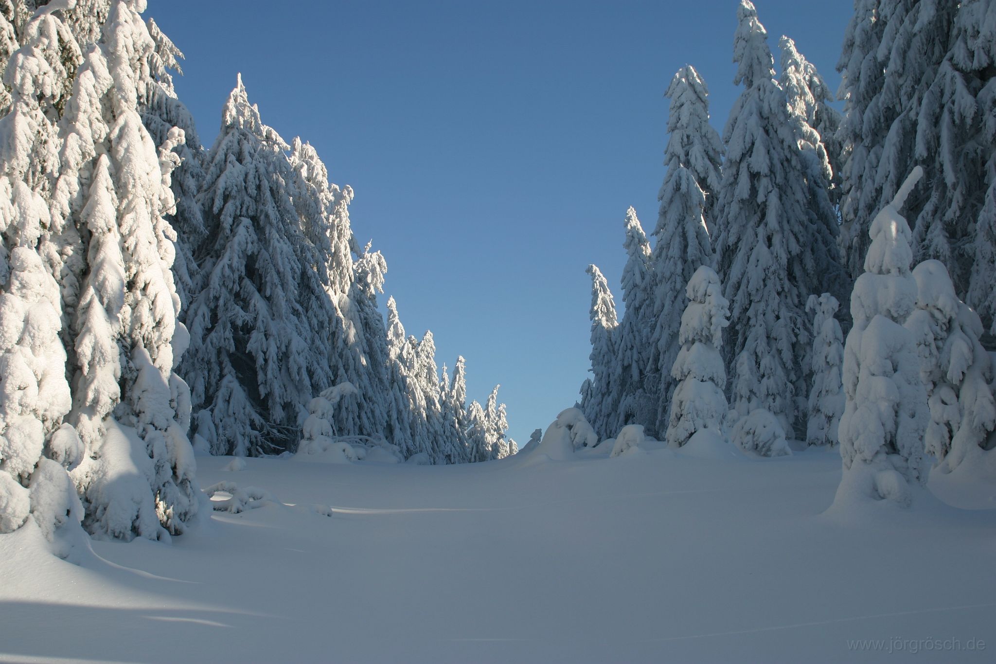 20060123 dylen.jpg - am Dylen auf ca. 930 m